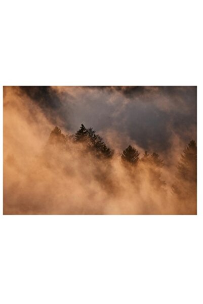 OEM Pictură pe pânză, „Misterul pădurii înghețate în ceață”, Nor, Aur, Pădure, Mister, Lumină, Umbre