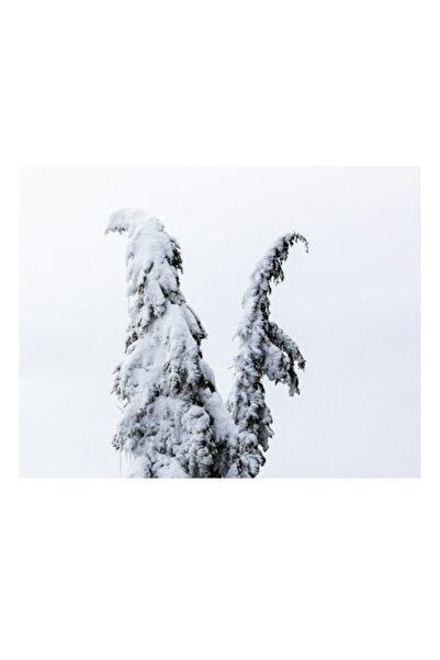 OEM Tablou Canvas, 'Arborele nins solitar in zapada', Copac, Zapada, Cer, Iar...