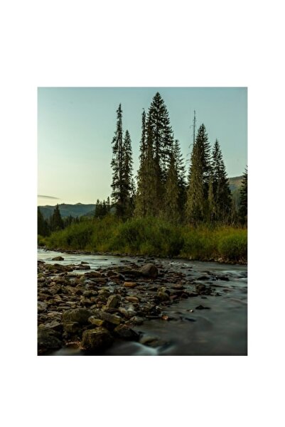 OEM Pictură pe pânză, „Râu șerpuitor prin pădure densă”, Apus de soare, Natur...