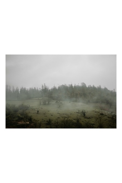 OEM Pictură pe pânză, „Ceață de dimineață pe câmp”, Natură, 70 x 50cm