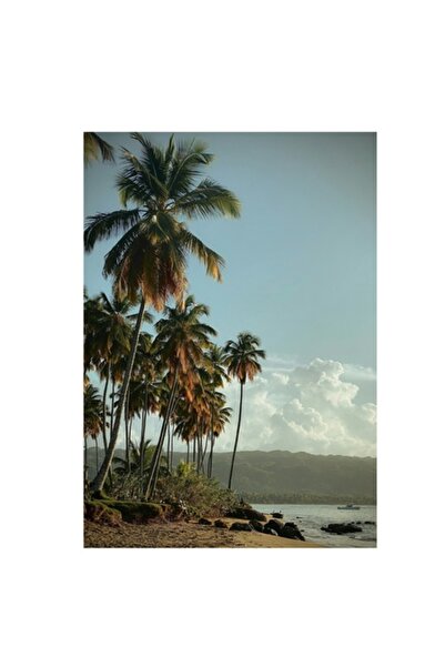 OEM Tablou Canvas, Premium, Panza Bumbac, Sasiu Lemn