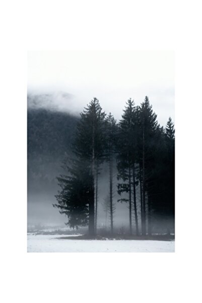 OEM Tablou Canvas, 'Misterul pădurii învăluite în ceață', Mister, Tăcere, Mel...