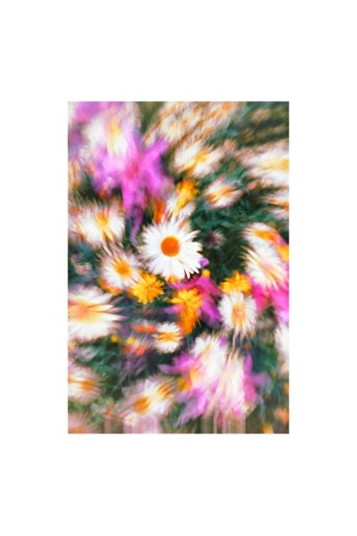 OEM Tablou Canvas, 'Vartej floral intr-o vara colorata'