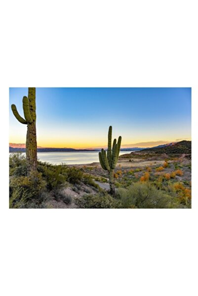 OEM Pictură pe pânză, „Apus de soare în deșertul tăcut de lângă lac”, Cactuși...