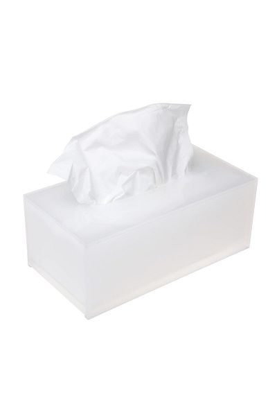 Lamsit Ibdaa Acrylic Tissue Box, Rectangle 25x13x9 cm, Frosted, Mirror Finish