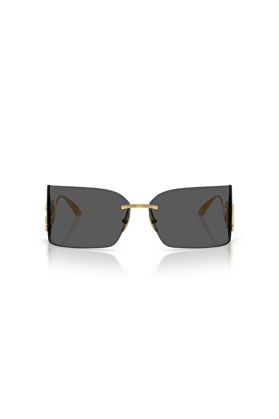 Dolce&Gabbana Dolce & Gabbana 0DG 2319 02/87 79 Unisex Güneş Gözlüğü