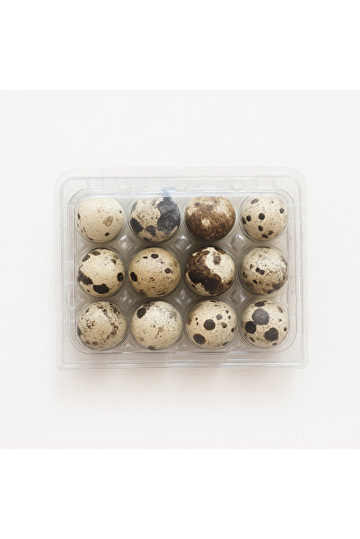 nsb makina Bıldırcın Yumurtası Viyolü 12'li- Düz Üst Kapak- 500 Adet