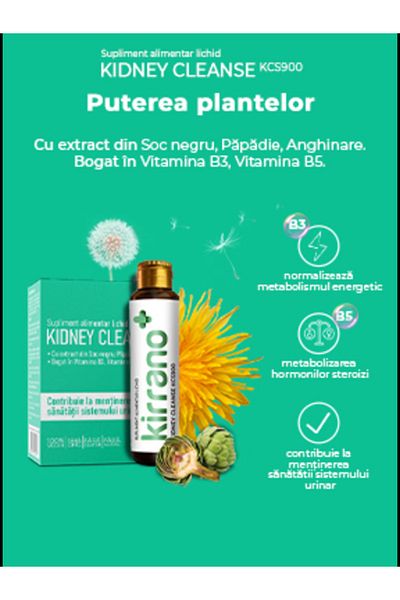 Kirrano Kidney Cleanse KCS900 and the urinary system