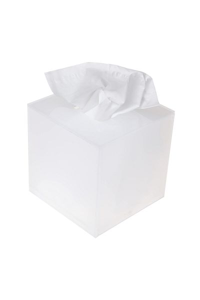 Lamsit Ibdaa Acrylic Tissue Box, Square 14x14x14 cm, Frosted, Mirror Finish
