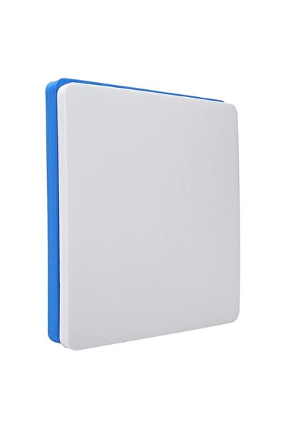 Generic وسادات إسفنجية لزهور لوروز، 20.2 × 20.2 سم / 8.0 × 8.0 بوصة، وسادة إس...