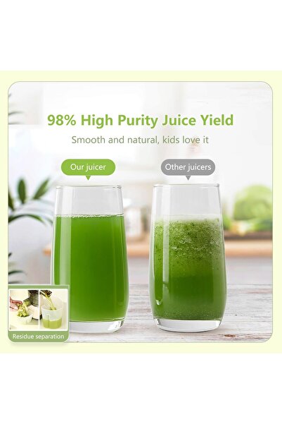 Türkiye 500W Slow Juicer Machine, High Yield Cold Press Juicer Blender for Fruits and Vegetables, Efficient