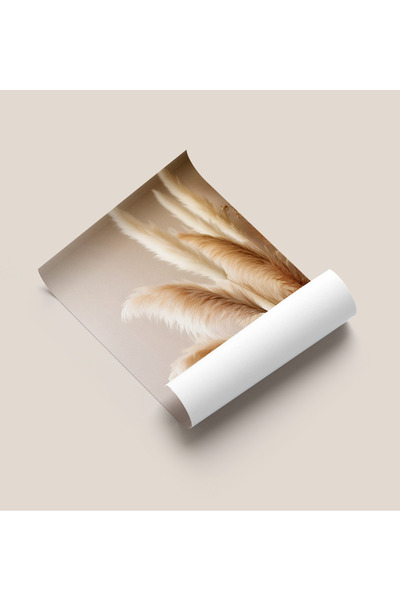 Rosaart Frameless Poster, Digital Printing Abstract, Pampas Grass, Living Room Office Decoration