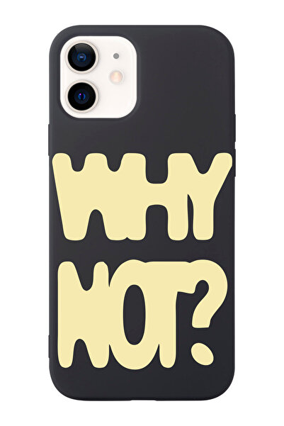 shoptocase iPhone 12/12Pro Uyumlu Why Not? Desenli İçi Süet Lansman Koruyucu ...