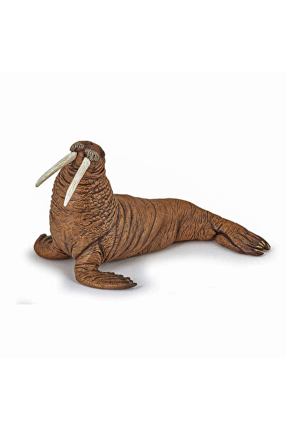 OEM Φιγούρα Μαργαριταροειδούς Πάπο