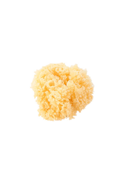 SARO BABY Σφουγγάρι μπάνιου