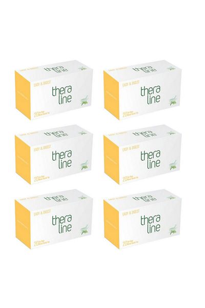 Theraline Easy&digest Digestion Organizer Tea Filtered Bag (20 *6 BOXES) 120 Pieces