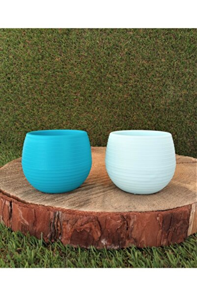 Ekodoğa Kaktüs Sukulent Saksısı 2 Adet 0,13 Lt Renkli Kaktüs Saksısı Mini Kak...