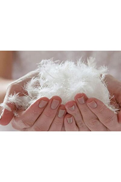 Linnda Home Double Goose Feather Quilt Set + 2 Pillows