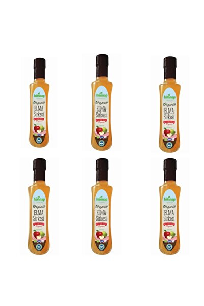 Hünnap 6 Adet Elma Sirkesi