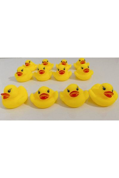 Kardelen 12 Pieces Floating Goose Duck Baby and Children's Bath Toy