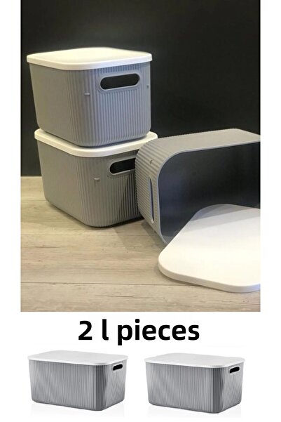 Bayev 2 Pieces Storage 6lt Gray Multi-Purpose Closet Organizer Box with Lid, Decorative Kindergarten Storage Box