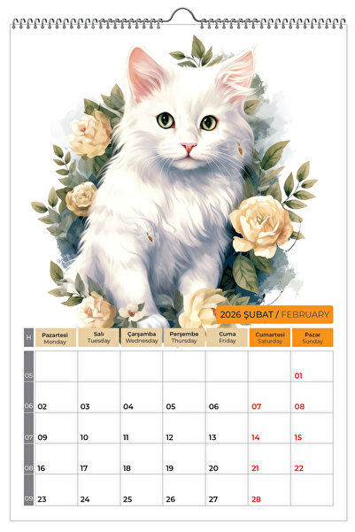 NATURELBASIM 2026 KEDİ COLOR TAKVİMİ-33x48 cm