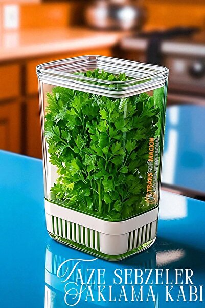 Transformacion Greenery Storage Container - for Fresh Greens - Onion Parsley Etc. Greenery Storage 721958