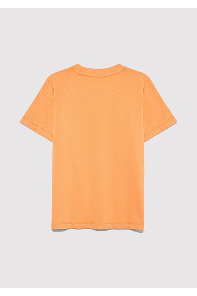 Mavi Logo Printed Orange T-Shirt Regular Fit / Regular Cut 6610030-71421
