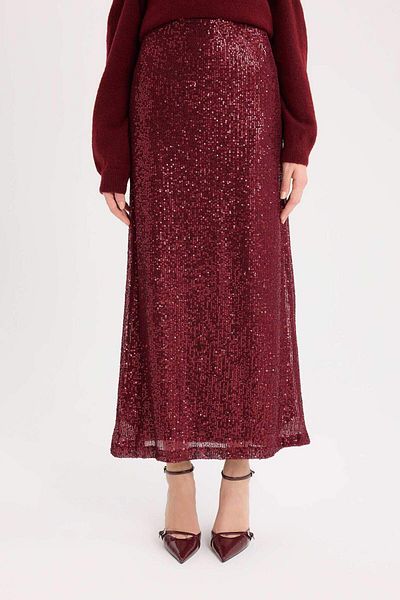 DeFacto New Year's Themed A-Line Regular Waist Sequined Fabric Maxi Skirt E2440Ax24Wn