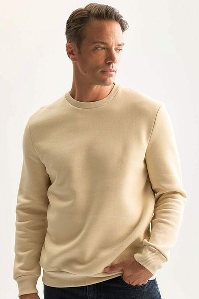DeFacto 3-fädiges, dickes Sweatshirt aus Baumwolle mit Kapuze und Fleece-Innenseite, reguläre Passform, Rundhalsausschnitt, D7876AXNS