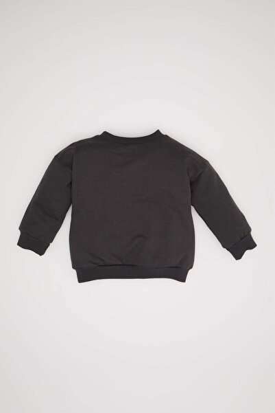 DeFacto Erkek Bebek Bisiklet Yaka Hayvan Desenli İçi Yumuşak Tüylü Sweatshirt D3925A524WN