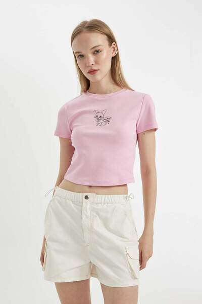 DeFacto Κέντημα εμπριμέ Coool κοντομάνικο μπλουζάκι με ραβδώσεις D4239AX24HS