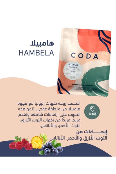 CODA حبوب قهوة هامبيلا إثيوبيا الخاصة، حبوب كاملة، ٣ × ٢٥٠ غرام | ملاحظات: توت أزرق، توت أحمر، أناناس