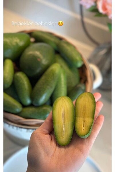 ADKTROPİKAL 1KG BEBEK(PARMAK)AVOKADO