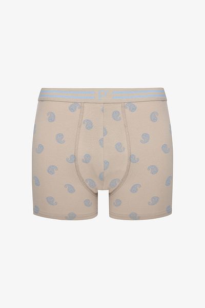 Penti Pointed 3-Piece Multicolored Boxer Briefs