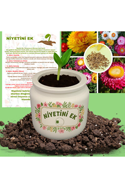 FourClovers “Niyetini Ek – Sürpriz Tohumlu Beton Saksı (Dekoratif Mini Çiçek ...
