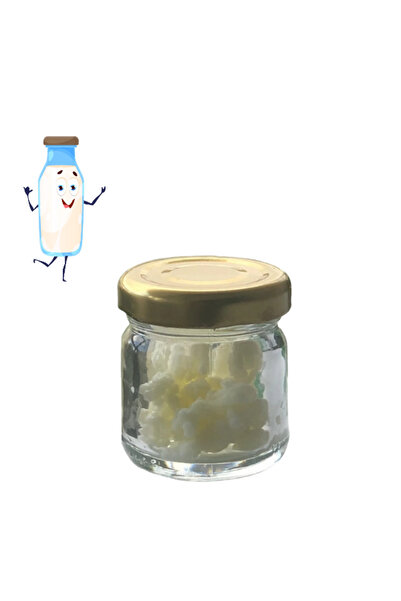 Area Online Canlı Kefir Mayası ( El Yapımı )