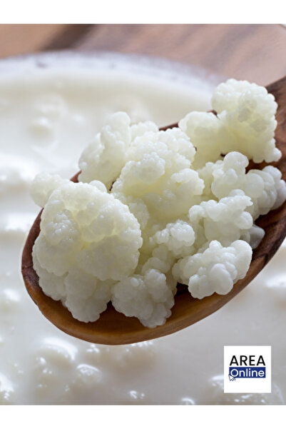 Area Online Canlı Kefir Mayası ( El Yapımı )