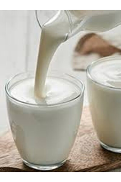 Area Online Canlı Kefir Mayası ( El Yapımı )
