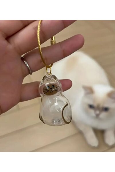 Yaratıcı sanatlar atölyesi كبسولة تخزين شعر القطط الشفافة Gashapon هدية تذكار...