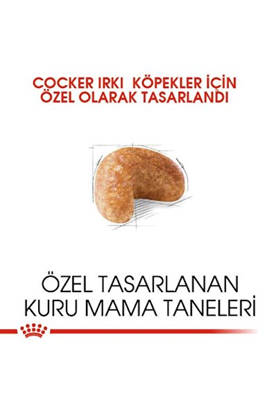 Royal Canin ROYAL CANİN YETİŞKİN COCKER KÖPEK MAMASI 3KG