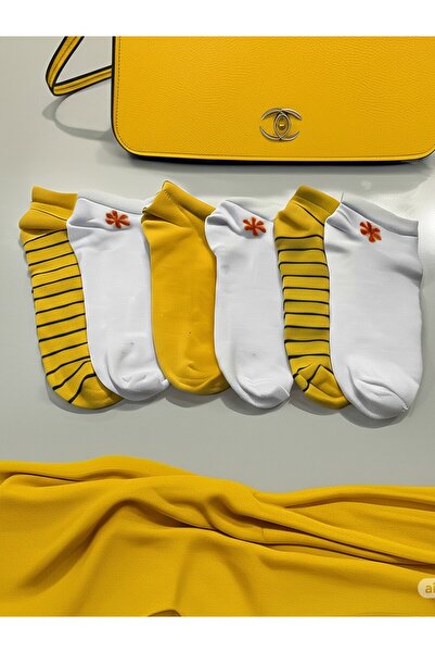 KANERUZ 6 Pairs of First Quality Combed Cotton Socks