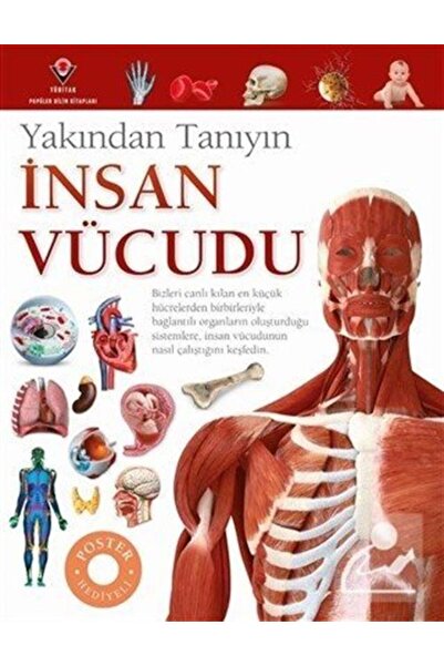 Tübitak Yayınları İnsan Vücudu - Yakından Tanıyın