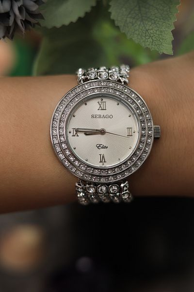 Sebago Sbgs8377-2 Women's Wristwatch