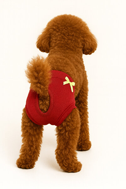 Buddy Store Kırmızı Dişi Kedi Ve Köpek Yıkanabilir Rahat Giyim Regl Külotları