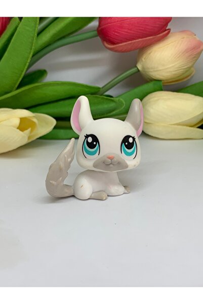 Littlest Pet Shop lps minişler