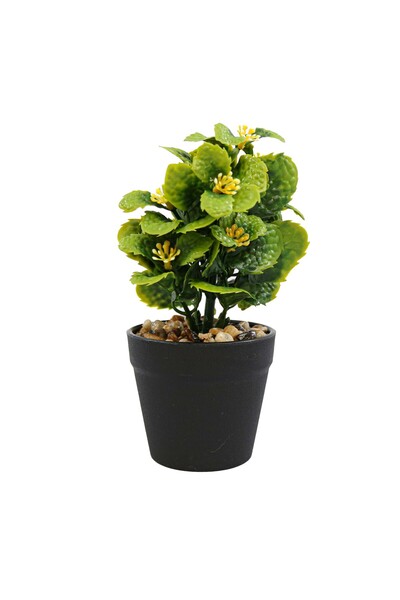 Ella Home Italia Aranjament Floral, Verde, Plastic, 18Cm - Verde, Plastic, 18cm