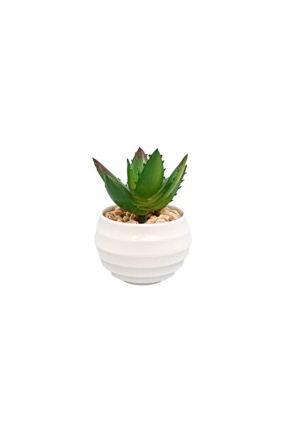 Ella Home Italia Planta Suculenta Artificiala, Verde, Plastic, 9Cm - Verde, P...