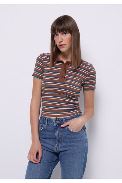 Colin's Slim Fit Polo Neck Striped Women's Brown Short Sleeve T-Shirt