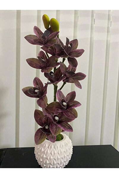 florasepeti زهرة أوركيد صناعية في إناء خرساني: 42 سم